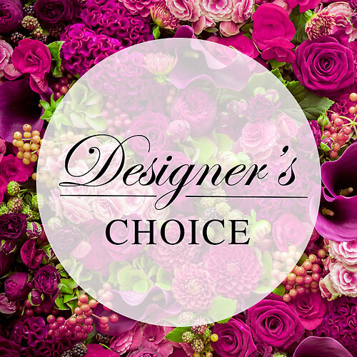 Designers Choice