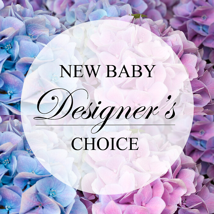 New Baby Designers Choice